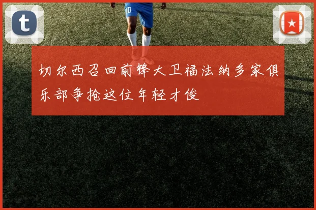 切尔西召回前锋大卫福法纳多家俱乐部争抢这位年轻才俊