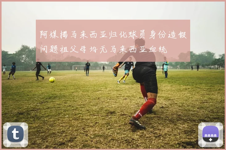 阿媒揭马来西亚归化球员身份造假问题祖父母均无马来西亚血统